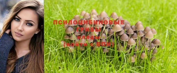 молекула духа Абаза