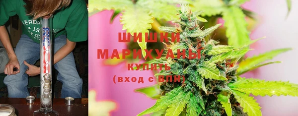 мдпв Лагань