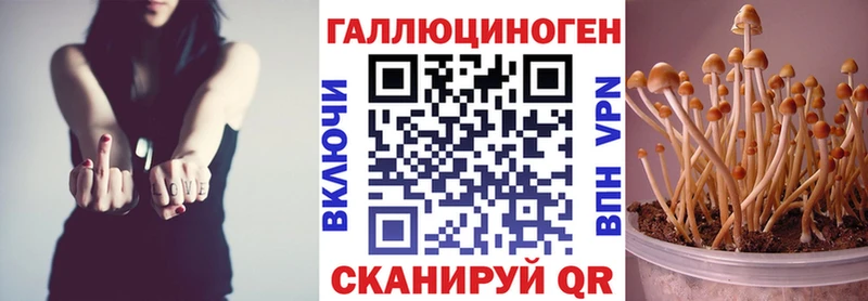 Псилоцибиновые грибы прущие грибы  Краснодар 